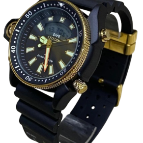 Relógio Citizen Aqualand