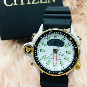 Relógio Citizen Aqualand